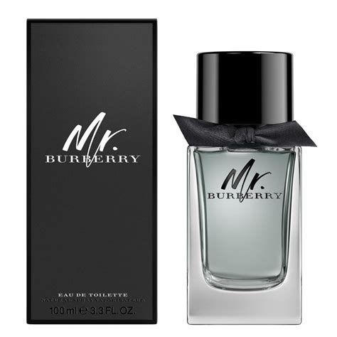 burberry mr. burberry|burberry mr burberry 100ml.